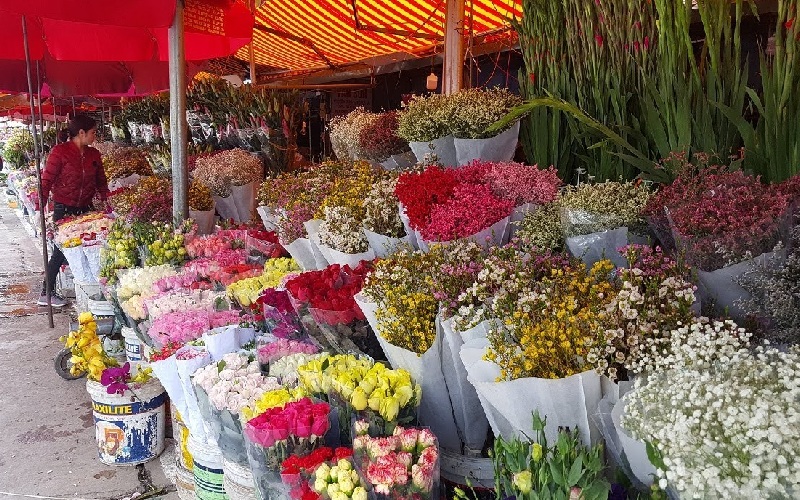 Top 10 khu chợ hoa Hà Nội đẹp nhất không thể bỏ qua 2