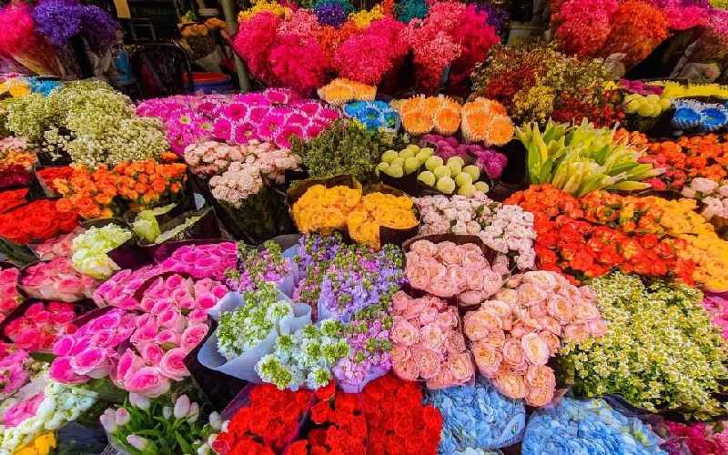 Top 10 khu chợ hoa Hà Nội đẹp nhất không thể bỏ qua 3