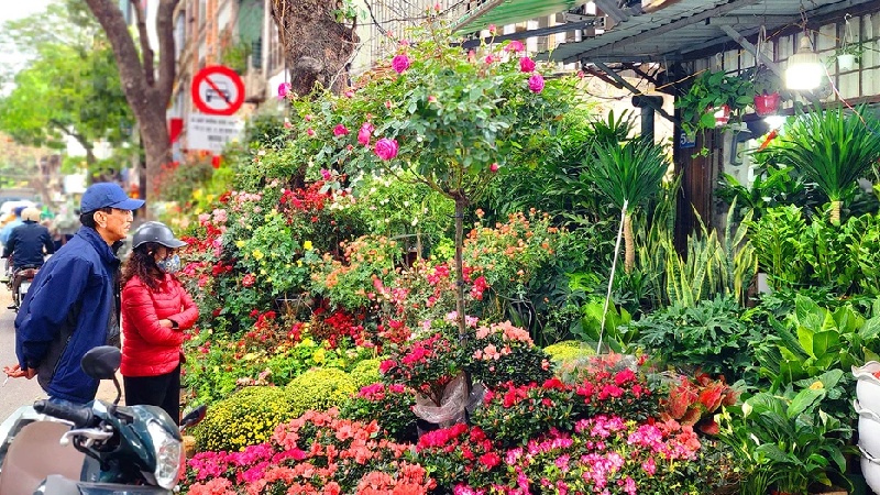 Top 10 khu chợ hoa Hà Nội đẹp nhất không thể bỏ qua 7