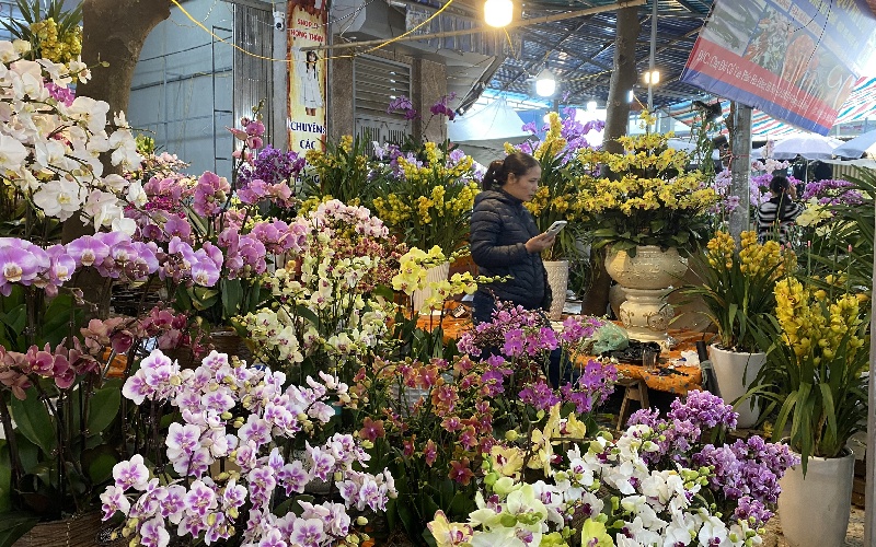 Top 10 khu chợ hoa Hà Nội đẹp nhất không thể bỏ qua 8