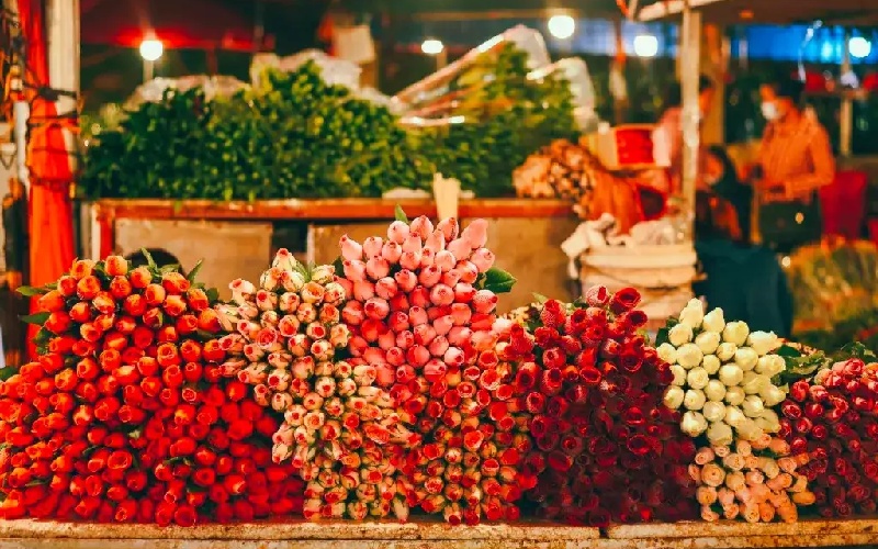 Top 10 khu chợ hoa Hà Nội đẹp nhất không thể bỏ qua 9