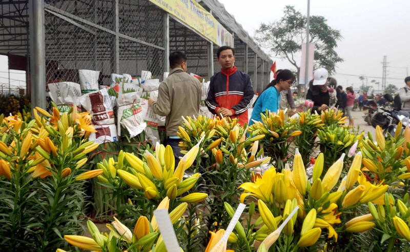 Chợ hoa Mê Linh Hà Nội nơi giao thoa hương sắc và nhịp sống 5