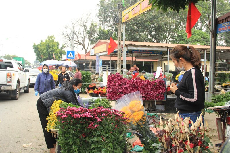 Chợ hoa Mê Linh Hà Nội nơi giao thoa hương sắc và nhịp sống 6