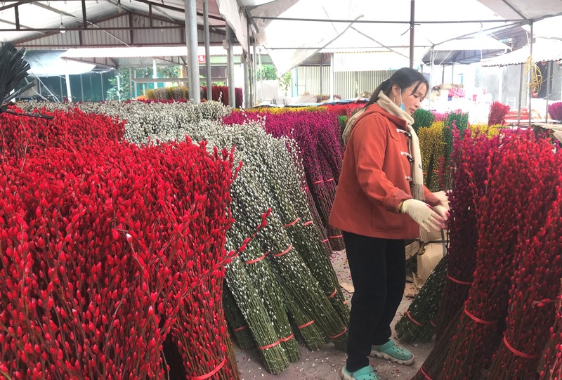 Chợ hoa Mê Linh Hà Nội nơi giao thoa hương sắc và nhịp sống 7