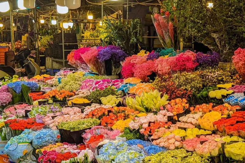 Chợ hoa Quảng An Âu Cơ: Thiên đường hoa đêm lớn nhất Hà Nội 5