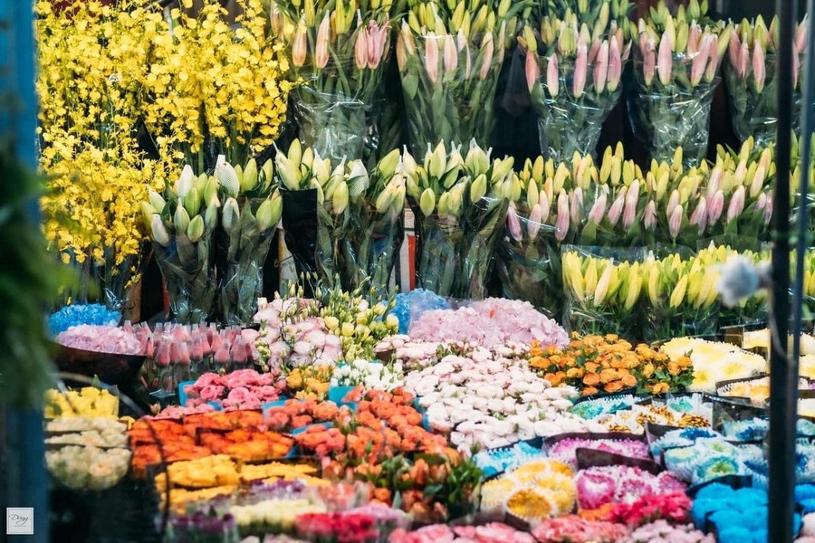 Chợ hoa Quảng An, vẻ đẹp rực rỡ khoe sắc sáng bừng thủ đô 4