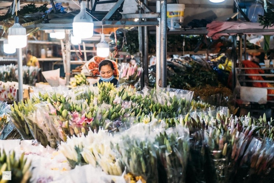 Chợ hoa Quảng An, vẻ đẹp rực rỡ khoe sắc sáng bừng thủ đô 5