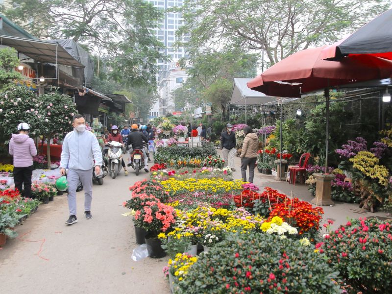 Top 10 chợ hoa Tết Hà Nội cho dịp Xuân 2024 thêm đầy màu sắc 11