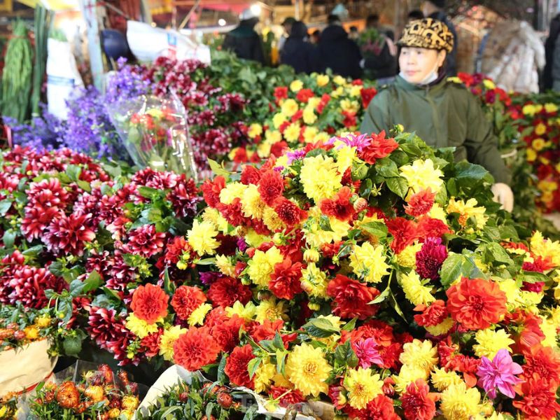 Top 10 chợ hoa Tết Hà Nội cho dịp Xuân 2024 thêm đầy màu sắc 3