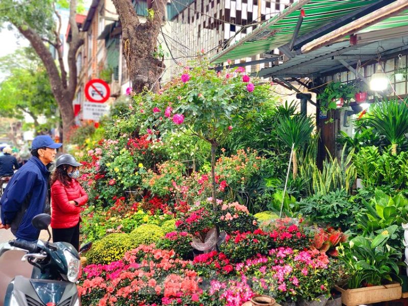 Top 10 chợ hoa Tết Hà Nội cho dịp Xuân 2024 thêm đầy màu sắc 6