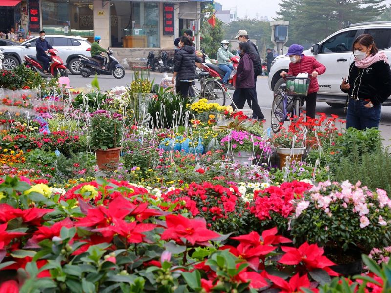 Top 10 chợ hoa Tết Hà Nội cho dịp Xuân 2024 thêm đầy màu sắc 7