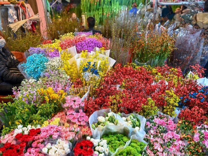 Top 10 chợ hoa Tết Hà Nội cho dịp Xuân 2024 thêm đầy màu sắc 9