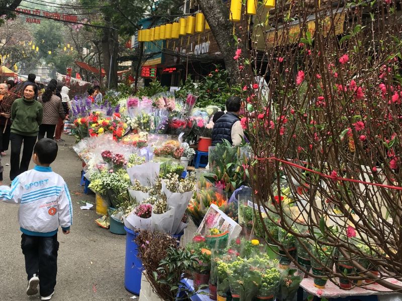 Top 10 chợ hoa Tết Hà Nội cho dịp Xuân 2024 thêm đầy màu sắc 10