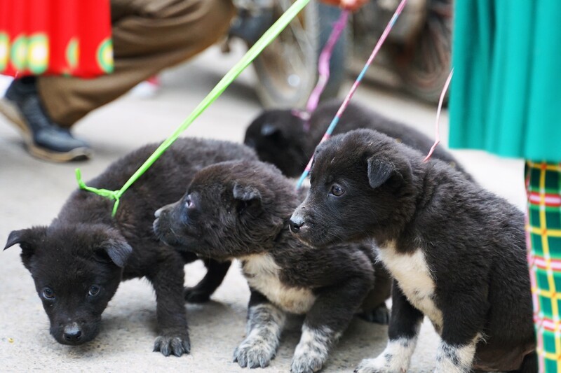 Mộc mạc Chợ phiên Mèo Vạc nơi cao nguyên đá Đồng Văn 9