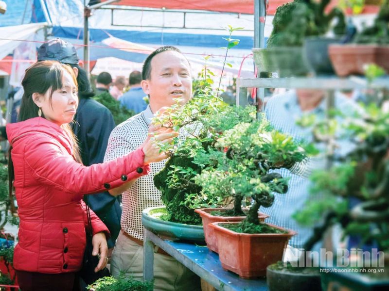 Chợ Viềng: Phiên chợ “mua may, bán rủi” nổi tiếng đầu năm 4