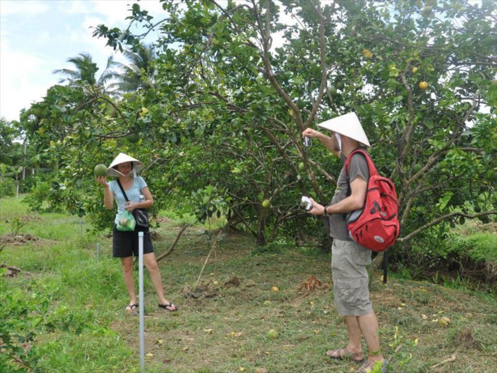 Choáng ngợp trước lối kiến trúc độc đáo tại Nhà cổ Ba Đức Tiền Giang 8