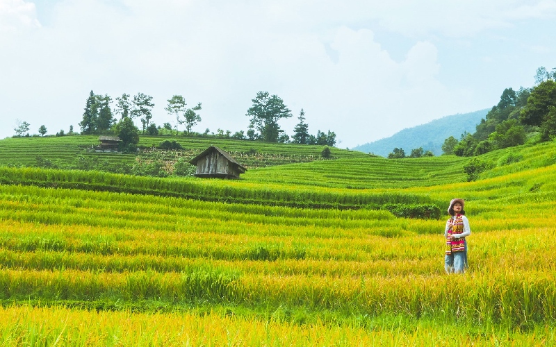 Chơi gì ở Sa Pa? 20+ địa điểm du lịch không thể bỏ lỡ 13