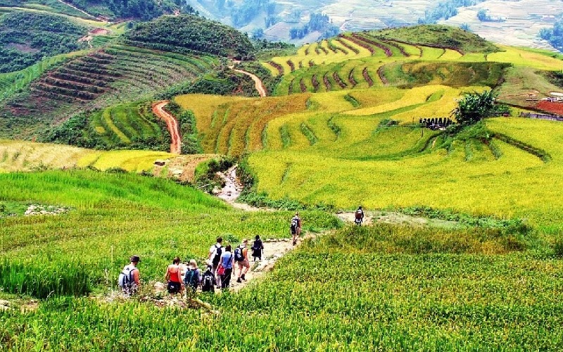 Chơi gì ở Sa Pa? 20+ địa điểm du lịch không thể bỏ lỡ 6