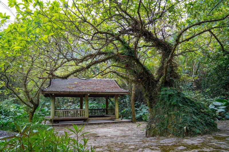 Chùa Bái Đính: Chốn tu tập an yên giữa non cao Ninh Bình 8