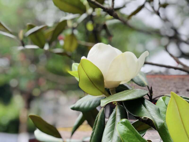 Chùa Bối Khê Thanh Oai, cổ tự nổi tiếng với hệ thống địa đạo lịch sử 12