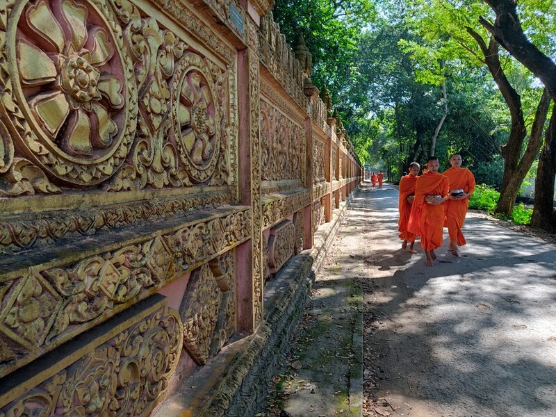 Vãn cảnh chùa Cò Trà Vinh, nơi cư trú của hàng ngàn loài chim cò 10