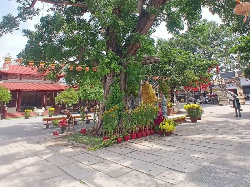 Viếng Chùa Di Lặc: Tìm về chốn bình yên giữa lòng TP.HCM 5