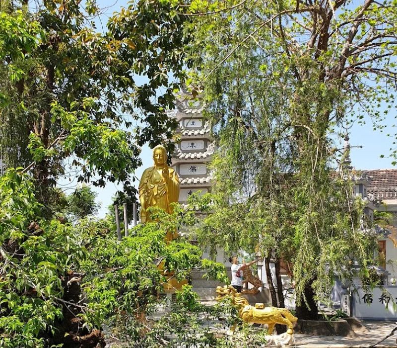 Tìm về cõi thanh tịnh tại chùa Hương Tích Phú Yên 5