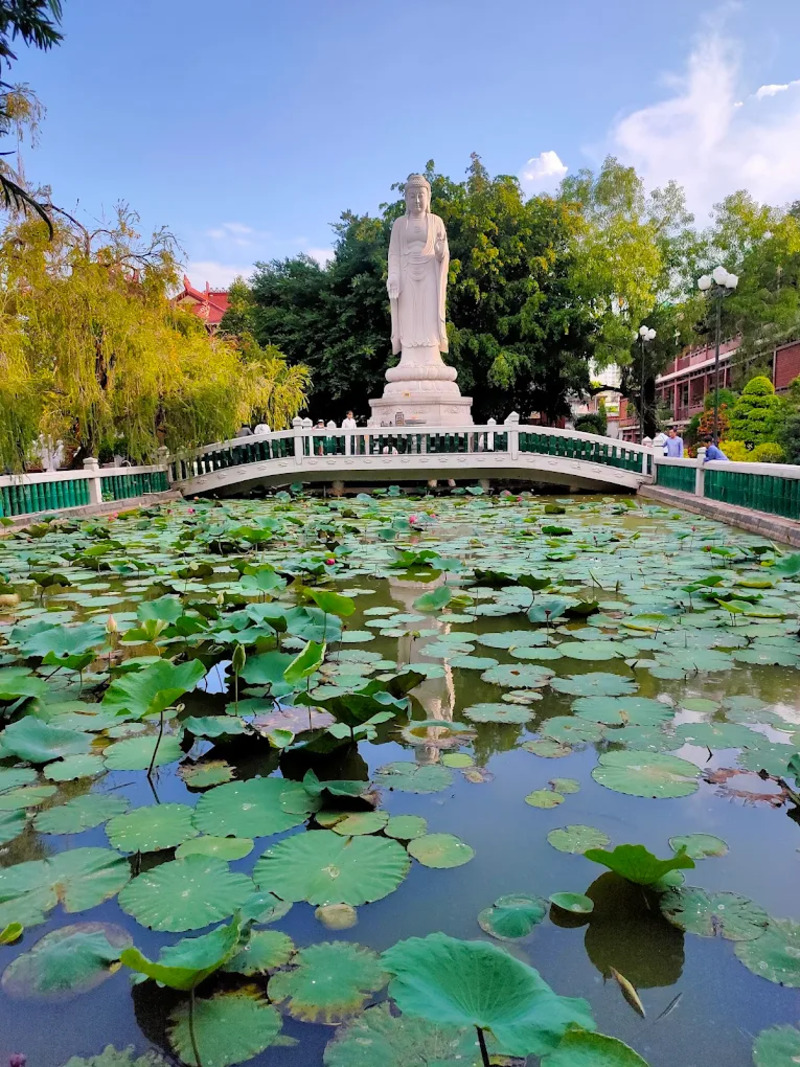 Chùa Liên Hoa, ngôi chùa phái Bắc tông 22 năm không đốt vàng mã 5
