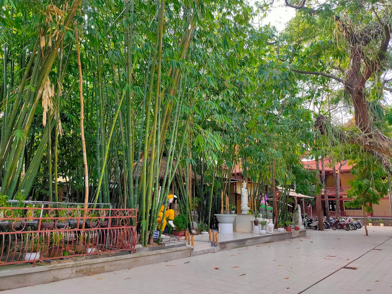 Chùa Liên Hoa, ngôi chùa phái Bắc tông 22 năm không đốt vàng mã 4