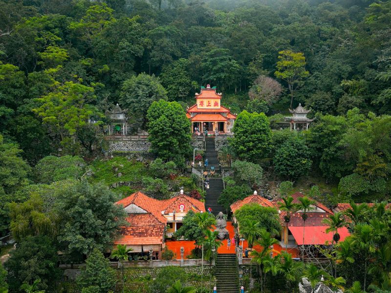 Chùa Núi Tà Cú: Hành trình tìm về sự bình yên giữa đại ngàn 3