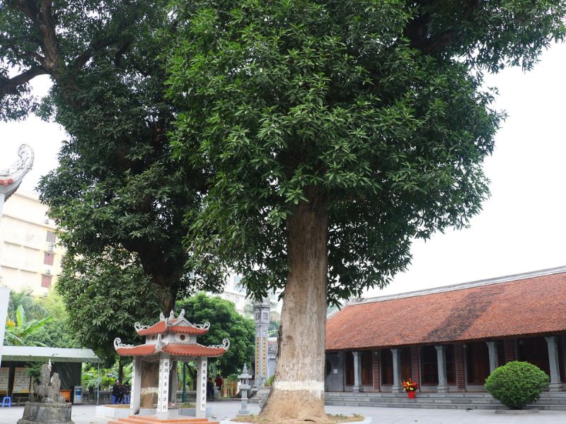 Khám phá chùa Thánh Chúa: Di tích gắn liền với triều đại nhà Lý 9