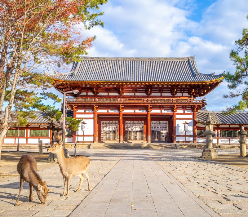 Chùa Todaiji: Cổ tự đầy linh thiêng giữa lòng thành phố Nara 3