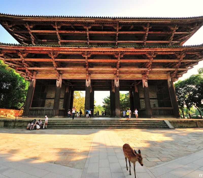 Chùa Todaiji: Cổ tự đầy linh thiêng giữa lòng thành phố Nara 8