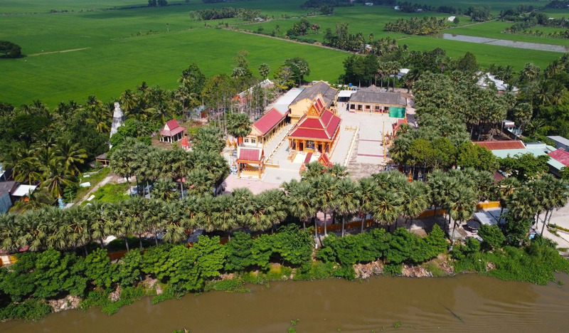 Chùa Trà Quýt: Nơi trăm cây thốt nốt cổ thụ khoe sắc 2