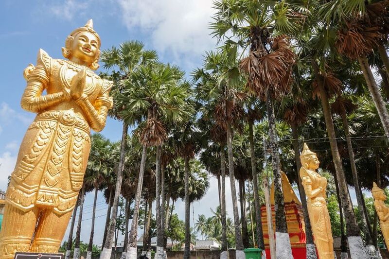 Chùa Trà Quýt: Nơi trăm cây thốt nốt cổ thụ khoe sắc 5