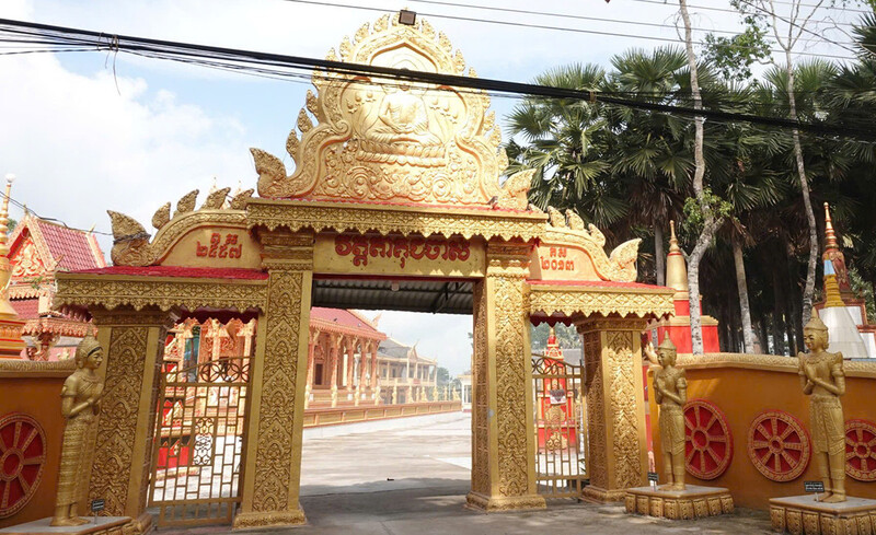 Chùa Trà Quýt: Nơi trăm cây thốt nốt cổ thụ khoe sắc 6