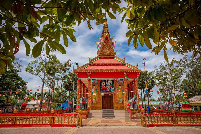 Chùa Trà Quýt: Nơi trăm cây thốt nốt cổ thụ khoe sắc 9