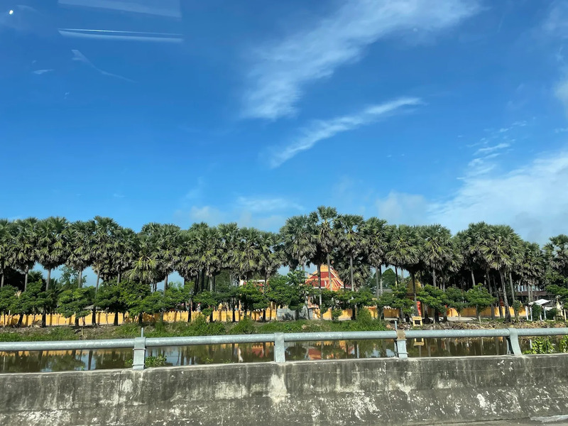 Chùa Trà Quýt: Nơi trăm cây thốt nốt cổ thụ khoe sắc 10