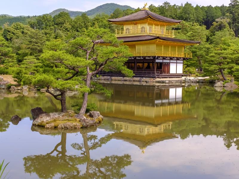 Chùa vàng Kinkakuji, chùa dát vàng lộng lẫy bậc nhất Nhật Bản