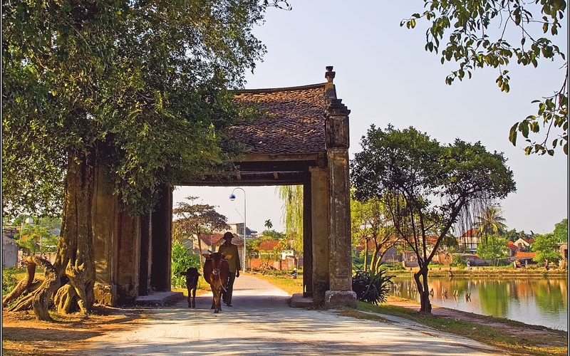Top 15 địa điểm thích hợp để chụp ảnh mùa thu Hà Nội 11