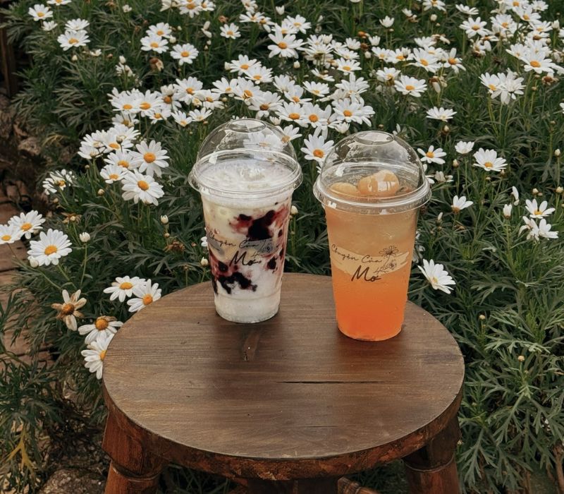 Chuyện Của Mơ Coffee: Tọa độ chụp ảnh xịn sò tại Đà Lạt 8