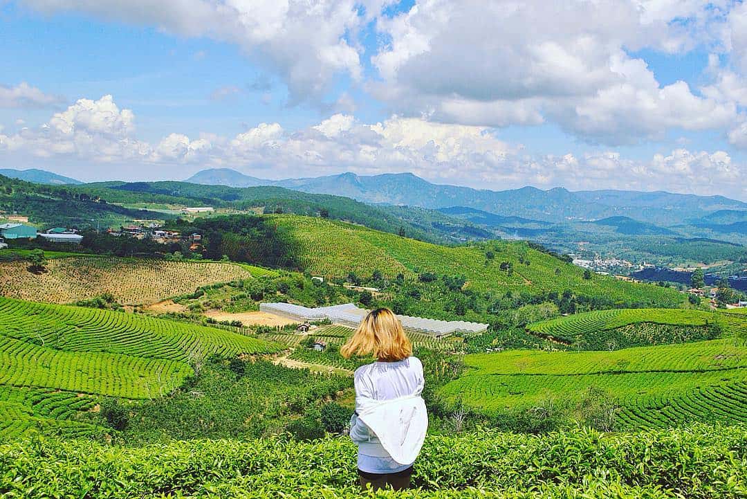 Chuyến đi Đà Lạt vào tháng Mười Hai sẽ là những ký ức tuyệt vời mà bạn không thể nào quên 12