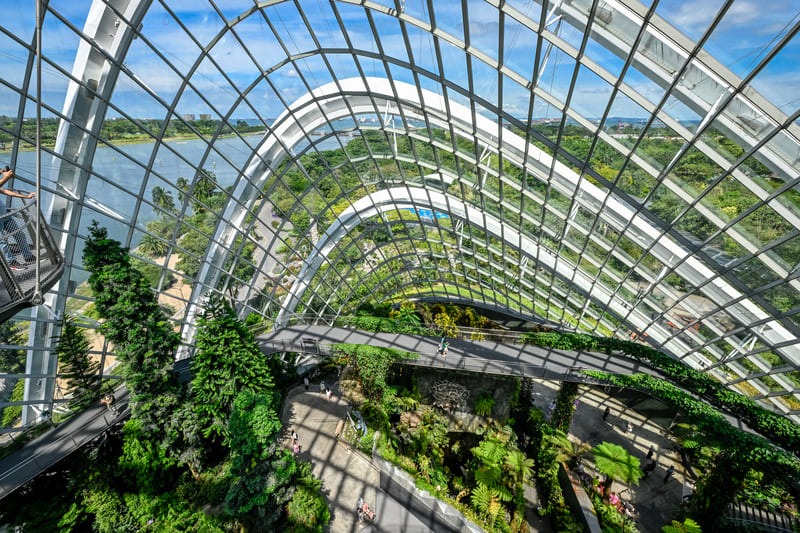 Đắm mình trong thiên nhiên tại Cloud Forest Singapore 3