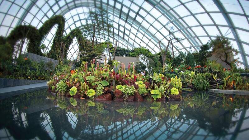 Đắm mình trong thiên nhiên tại Cloud Forest Singapore 4