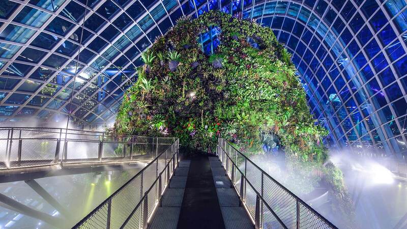 Đắm mình trong thiên nhiên tại Cloud Forest Singapore 5