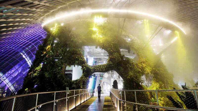 Đắm mình trong thiên nhiên tại Cloud Forest Singapore 6