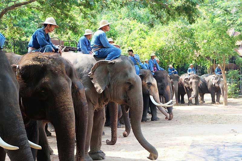 Du ngoạn Pattaya thế nào để có hành trình đáng nhớ 12