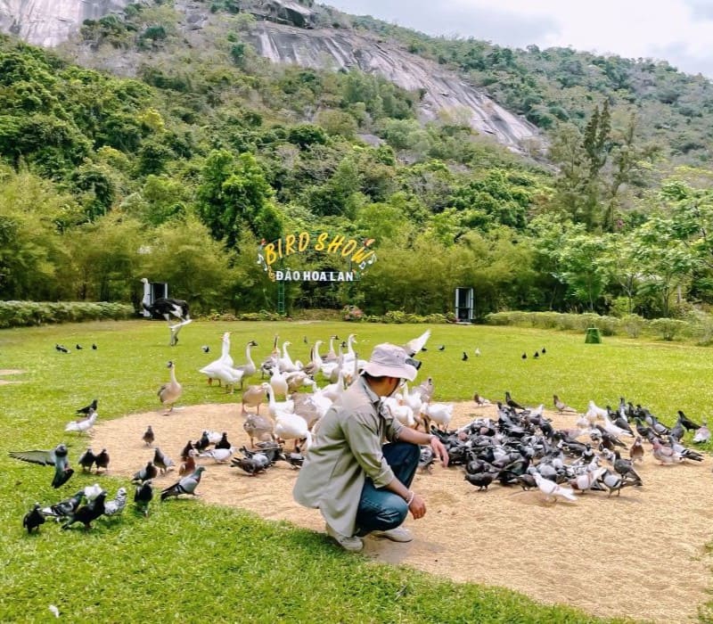 Có gì tại Khu du lịch Đảo Hoa Lan, thiên đường ven biển cực gần Nha Trang?