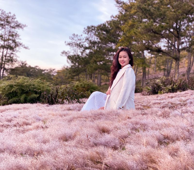 Cỏ lau hồng Đà Lạt: Kinh nghiệm săn sắc hồng lãng mạn 8