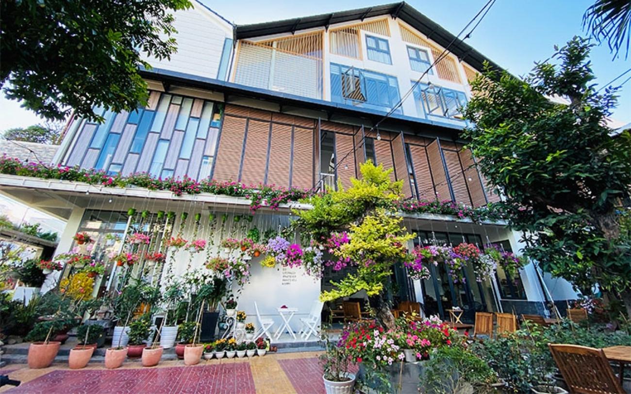 Có một Daisy House Phú Yên ngọt ngào giữa lòng thành phố 3